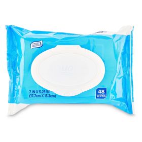 Equate Fresh Scent Flushable Wipes, 48 Count